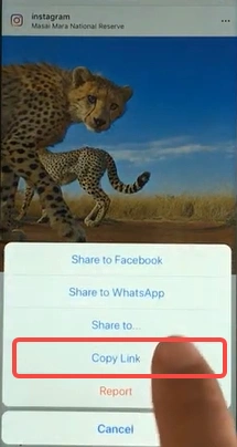 copy link